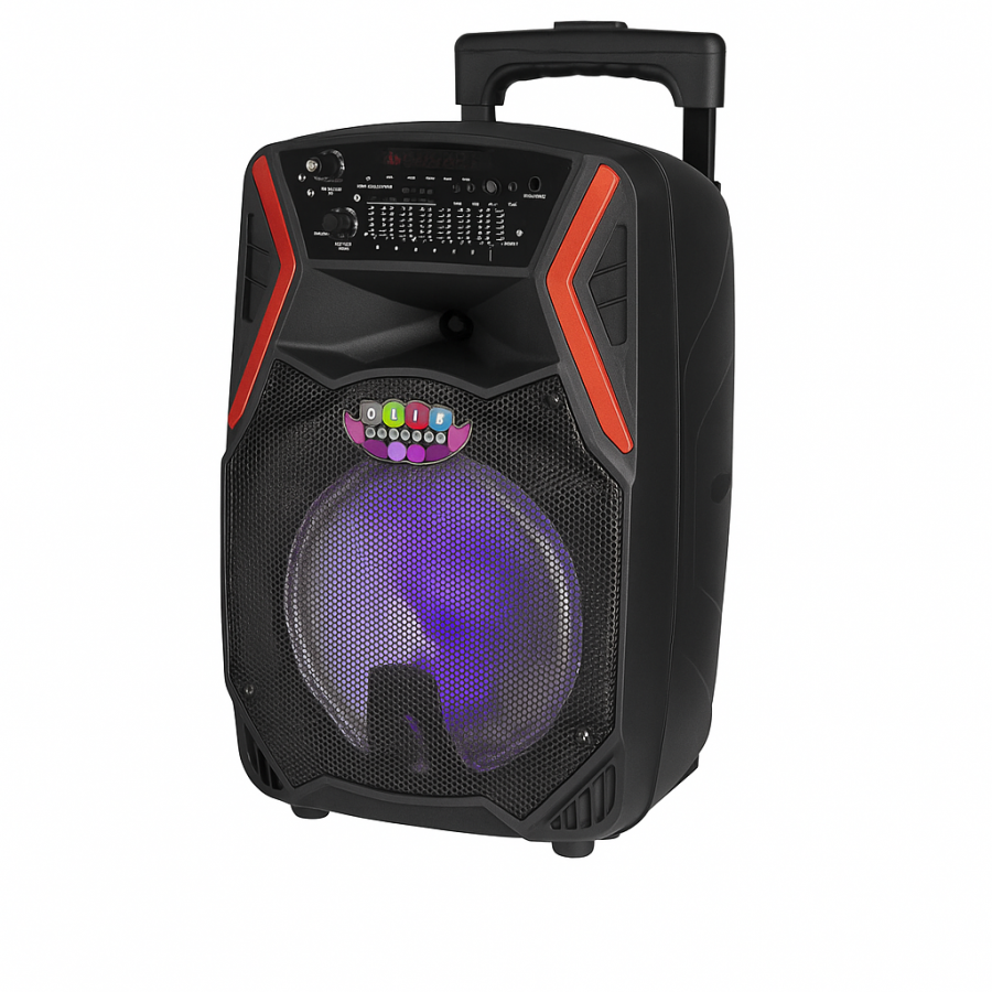 Портативна колонка QTY-895 з 8" динаміком, мікрофоном, пультом та підсвічуванням.