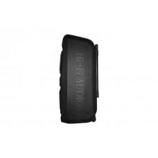 Акустична система Goldteller GT-6067 з двома караоке мікрофонами та пультом