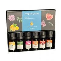 Набір ефірних водорозчинних олій 6 шт. для зволожувача повітря й дифузорів в автомобіль
